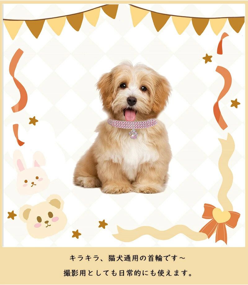 撮影用 高級感首輪 小型犬通用 サイズ調整 道具
