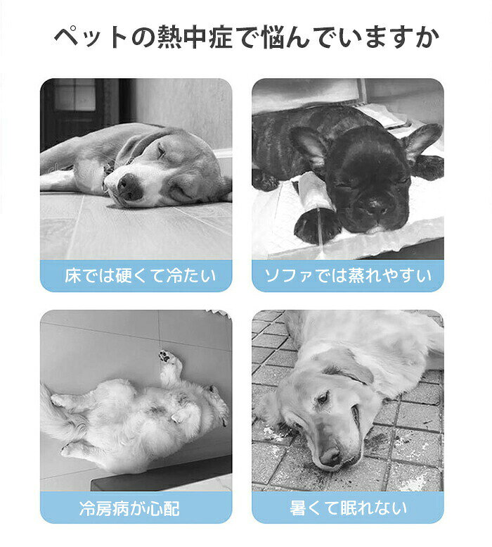 ペットベッド 夏用 接触冷感 ひんやり クールベッド 涼感 冷感 高反発 洗える あごのせ 犬猫兼用 ペットソファ メッシュ ベッド 犬 猫 いぬ ねこ ペットソファー 寝床 暑さ対策 熱中症対策 柔らかい 滑り止め 中型犬 大型犬 小型犬 猫 犬 tkm-store-10008528 TKMjapan本店 サンプル画像2