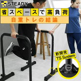 ڥ󥭥1̳ۥǥåץ STEADY  ݾں500ۿȯTS System Ѳٽ150kg ǥåץСƥǥ ޤꤿ ǥåץޥ ڥȥ  ˥ ȥ졼˥ ST126