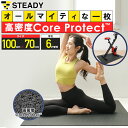 ◆1日10時迄 300円OFFクーポン→3,180円 トレーニングマット 高密度Core Protect 防音防振 衝撃吸収 床保護 軽量 抗菌 100×70cm フロアマット STEADY ステディ ストレッチマット 筋トレマット トレーニング フィットネス ST137-70