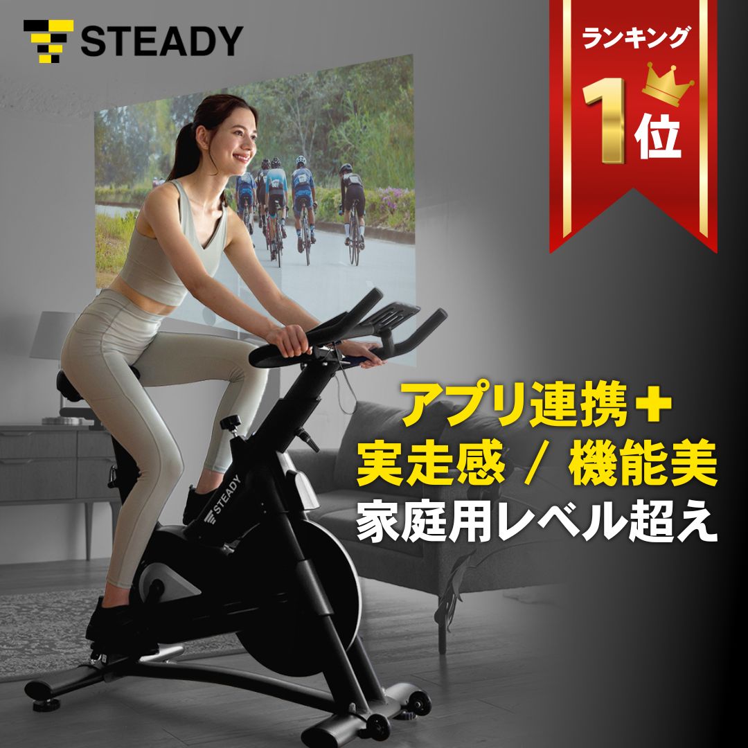 スピンバイク Pro 静音 13kgホイール 家庭用 フィットネスバイク エアロ