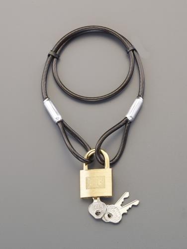 エスコ (ESCO) EA983TT-42 φ4.3x1040mm ワイヤーロック(シリンダー錠) EA983TT-42 【5個セット】