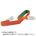 TRUSCO ベルトスリング JIS3等級 両端アイ形 100mmX5.0m ( G100-50 (100MMX5.0M) ) トラスコ中山(株)