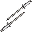 エビ ブラインドリベット(ステンレス/ステンレス製) 6−6(1000本入) 箱入 ( NST66 ) (株)ロブテックス