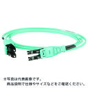 PANDUIT プッシュブル式LCデュプレックス光ファイバーパッチコード ライザー OM3 3m 1本入 ( FX2ERQ1Q1SNM003 ) 【10本セット】 パンドウイットコーポレーション
