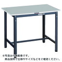 TRUSCO 軽荷重作業台(300kg)RAE2型 RoHS2対応天板 900X450XH740 ダークグレー色 ( RAE2-0945 DG ) トラスコ中山...