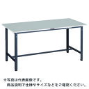TRUSCO 軽荷重作業台(300kg)RAE2型 RoHS2対応天板 1500X600XH740 ダークグレー色 ( RAE2-1560 DG ) トラスコ中...