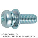 TRUSCO ナベ頭座金組込ねじ P=4 三価白 M4×6 56本入 (ばね座金+JIS小形ワッシャー付き) ( B751-0406 ) トラスコ中山(株)