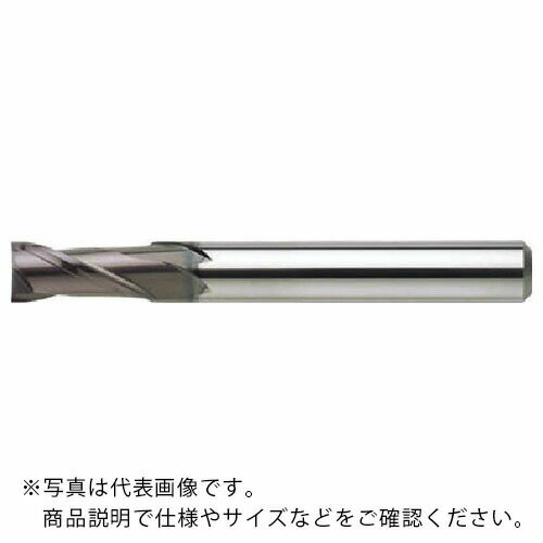 NS 超硬スクエアエンドミル 無限リード30エンドミル 2枚刃 MX230 Φ10 MX230 10 (08-00030-01000) ( MX23010 ) 日進工具（株）