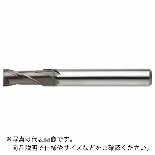 NS 超硬スクエアエンドミル 無限リード30エンドミル 2枚刃 MX230 Φ12 MX230 12 (08-00030-01200) ( MX23012 ) 日進工具（株）