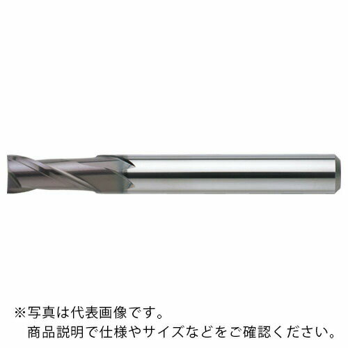 NS 超硬スクエアエンドミル 無限リード30エンドミル 2枚刃 MX230 Φ4．6 MX230 4.6 (08-00030-00460) ( MX2304.6 ) 日進工具（株）