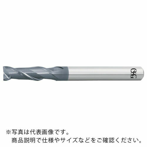 OSG 超硬エンドミル WXL 2刃 3.0D刃長 3182425 ( WXL-3D-DE-2.5(3182425) ) オーエスジー(株)