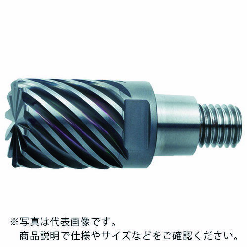 ��ɩ 6�������ù��� Ķ��¿�������饸�����إå�10mm (��������) EP7020 ( IMX10C6HV100R10010 EP7020 ) ��ɩ�ޥƥ�...