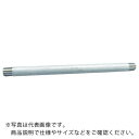 FLOBAL 両長ニップル(SUS304TP) 04120006 VLN-S40-01200 ( VLNS4001200 ) フローバル(株)
