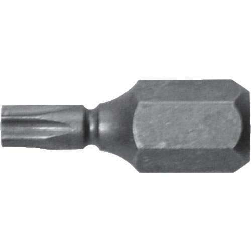 ���ͥå��� ( ���ͥå����ġ��� ) ����Ķû�إ��������֥ӥå�1���� T10��19 (����) ( AK-51P-T10-19 )