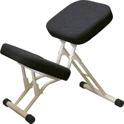 セイコー 作業チェア セブンポーズチェア ホワイト/ブラック 440×...(4)