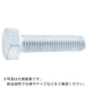 TRUSCO 六角ボルト 溶融亜鉛メッキ 全ネジ M10×25 18本入 ( Y012-1025 ) トラスコ中山(株)