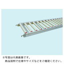 三鈴 樹脂ローラコンベヤMRN38型Ф38X2.6T 幅245 1.5M MRN38-240715 ( MRN38240715 ) 三鈴工機(株)