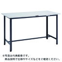 TRUSCO 軽荷重立作業台(300kg)HAE型 1500X900XH900 基本タイプ ダークグレー色 ( HRAE-1509 DG ) トラスコ中山(株)