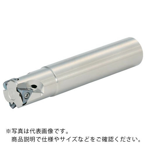 ������ MEV����ɥߥ� ���ȥ졼�� Ʊ�¥���� ( MEV20-S20-06-3T )