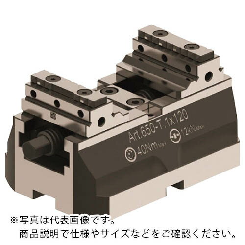 �������ǥ� ����ѥ���G�Х���650 T1 50Wx80mm ( GR650T1X80 ) �ڥ᡼��������