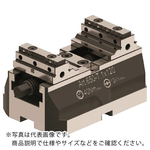 �������ǥ� ����ѥ���G�Х���650 T1 50Wx160mm ( GR650T1X160 ) �ڥ᡼��������