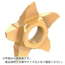 イスカル 溝入れ・突切り工具 ペンタカット用ホルダー PCHRS/LS-17 幅25mm 高さ25mm 全長120mm ( PCHLS 25-17 ) イスカル...