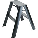 ハセガワ 踏台 ルカーノ 2ステップ ブラック(17018) ( ML2.0-2(BK) ) 長谷川工業(株)