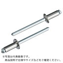 エビ ブラインドリベット(丸頭) ステンレス/スティール製 6−2(1000本入) ( LSS62 ) (株)ロブテックス