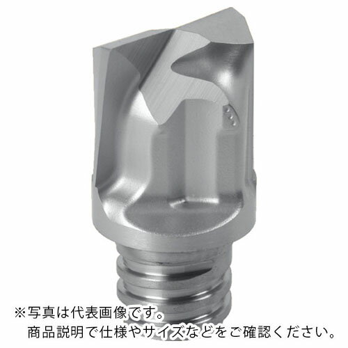 イスカル マルチマスター加工ヘッド 2枚刃 スロットドリル IC908 ( MM HC100C10R1.0-2T06 IC908 ) 【2個セット】