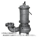 TERADA 防食形ステンレス水中ポンプ (SUS316) 0.4kw 全揚程8m 50Hz ( CS4N-004E 50HZ ) (株)寺田ポンプ製作所 【メ...