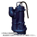 TERADA 汚水用大型水中ポンプ 3.7kw 全揚程25m 50Hz ( SD4-037N 50HZ ) (株)寺田ポンプ製作所 【メーカー取寄】