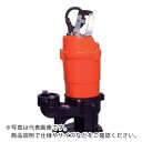 TERADA 水中スラリーポンプ 50Hz ( SSX-500 50HZ ) (株)寺田ポンプ製作所 【メーカー取寄】