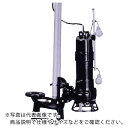 TERADA 汚物用水中ポンプ 0.75kw 全揚程7.5m 60Hz ( TCN4D-607 60HZ ) (株)寺田ポンプ製作所 【メーカー取寄】