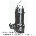 TERADA 汚物用水中ポンプ 3.7kw 全揚程11.8m 60Hz ( TCN5-637 60HZ ) (株)寺田ポンプ製作所 【メーカー取寄】