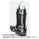 TERADA 汚物用水中ポンプ 5.5kw 全揚程18.0m 60Hz ( TCN6-655H 60HZ ) (株)寺田ポンプ製作所 【メーカー取寄】