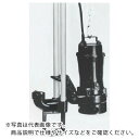 TERADA 汚物用水中ポンプ 1.5kw 全揚程10.6m 50Hz ( TCN6D-515 50HZ ) (株)寺田ポンプ製作所 【メーカー取寄】