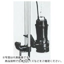 TERADA 汚物用水中ポンプ 3.7kw 全揚程14.4m 50Hz ( TCN6D-537H 50HZ ) (株)寺田ポンプ製作所 【メーカー取寄】