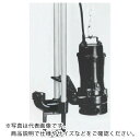 TERADA 汚物用水中ポンプ 5.5kw 全揚程12.9m 50Hz ( TCN6D-555L 50HZ ) (株)寺田ポンプ製作所 【メーカー取寄】