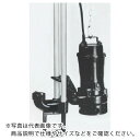 TERADA 汚物用水中ポンプ 7.5kw 全揚程21.8m 50Hz ( TCN6D-575H 50HZ ) (株)寺田ポンプ製作所 【メーカー取寄】