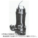 TERADA 汚物用水中ポンプ 3.7kw 全揚程11.8m 60Hz ( TCN7-637 60HZ ) (株)寺田ポンプ製作所 【メーカー取寄】