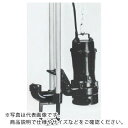 TERADA 汚物用水中ポンプ 5.5kw 全揚程12.9m 50Hz ( TCN7D-555L 50HZ ) (株)寺田ポンプ製作所 【メーカー取寄】
