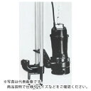TERADA 汚物用水中ポンプ 5.5kw 全揚程18.0m 60Hz ( TCN7D-655H 60HZ ) (株)寺田ポンプ製作所 【メーカー取寄】