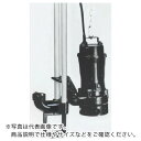 TERADA 汚物用水中ポンプ 5.5kw 全揚程13.6m 60Hz ( TCN7D-655L 60HZ ) (株)寺田ポンプ製作所 【メーカー取寄】