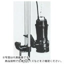 TERADA 汚物用水中ポンプ 7.5kw 全揚程22.5m 60Hz ( TCN7D-675H 60HZ ) (株)寺田ポンプ製作所 【メーカー取寄】