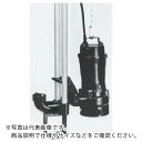 TERADA 汚物用水中ポンプ 7.5kw 全揚程16.7m 60Hz ( TCN7D-675L 60HZ ) (株)寺田ポンプ製作所 【メーカー取寄】