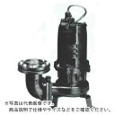 TERADA 汚物用水中ポンプ 0.75kw 全揚程8.3m 60Hz ( TCVS4-607 60HZ ) (株)寺田ポンプ製作所 【メーカー取寄】