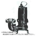 TERADA 汚物用水中ポンプ 2.2kw 全揚程11.0m 50Hz ( TCVS5-522 50HZ ) (株)寺田ポンプ製作所 【メーカー取寄】