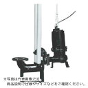 TERADA 汚物用水中ポンプ 1.5kw 全揚程9.0m 50Hz ( TCVS5D-515 50HZ ) (株)寺田ポンプ製作所 【メーカー取寄】