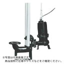 TERADA 汚物用水中ポンプ 3.7kw 全揚程17.0m 60Hz ( TCVS5D-637 60HZ ) (株)寺田ポンプ製作所 【メーカー取寄】